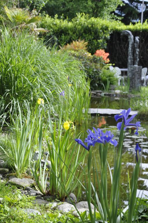 Villa Del Gusto ベリンツォーナ エクステリア 写真